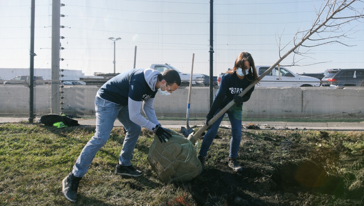 Motor Citizen volunteers plant a tree