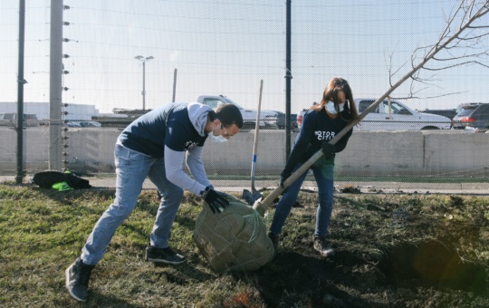 Motor Citizen volunteers plant a tree
